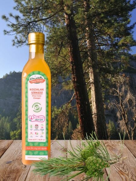 Karşı Köyden Doğal Fermantasyon Kozalak Sirkesi, Pine Cone Vinegar, 500 ml / 16,91 oz