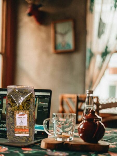 Karşı Köyden Ökse Otu, Mistletoe, Viscum Album, 250 g