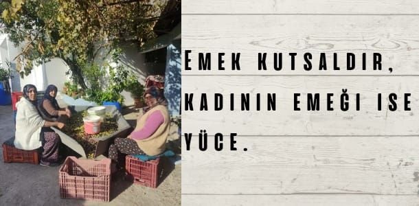 Trendyol Mağazamız